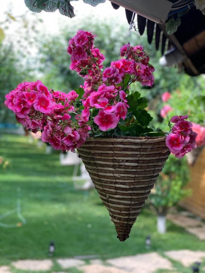 Casa Nita Villa Корбу Екстериор снимка