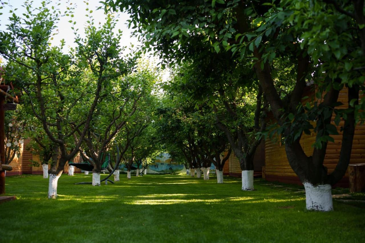 Casa Nita Villa Корбу Екстериор снимка